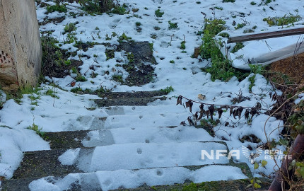 Pozemok s možnosťou výstavby