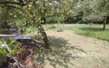 Slnečný pozemok v tichej lokalite pod lesom v lone prírody.