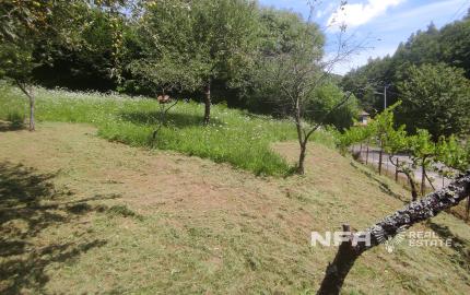 Slnečný pozemok v tichej lokalite pod lesom v lone prírody.