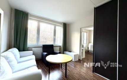 Priestranný 1-i byt na prenájom – Šalgotarjánska ul., BB