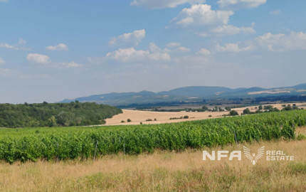 Veľký pozemok, nekonečné možnosti využitia - dom v Modranoch