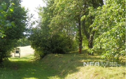 ZÁHRADA V BUKOVSKEJ STUDNI – OÁZA POKOJA BLÍZKO ZVOLENA
