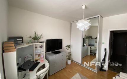 Slnečný 4i byt v Leviciach