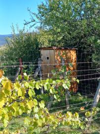 Biovinica s krásnym výhľadom v Pukanci