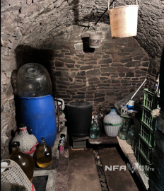 Slnečný pozemok v tichej lokalite pod lesom v lone prírody.