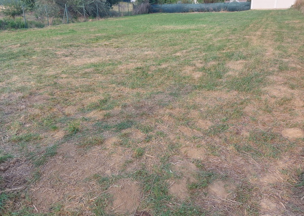 Stavebný pozemok s projektom domu