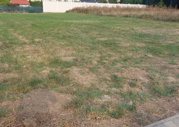 Stavebný pozemok s projektom domu
