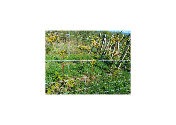 Biovinica s krásnym výhľadom v Pukanci