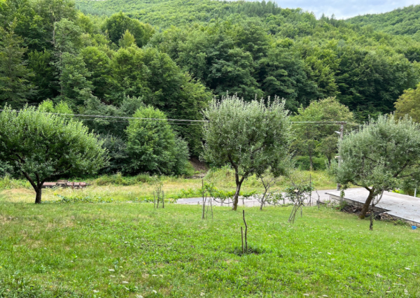 Slnečný pozemok v tichej lokalite pod lesom v lone prírody.