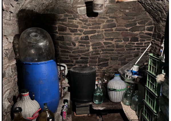 Slnečný pozemok v tichej lokalite pod lesom v lone prírody.