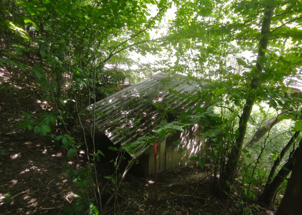 Slnečný pozemok v tichej lokalite pod lesom v lone prírody.