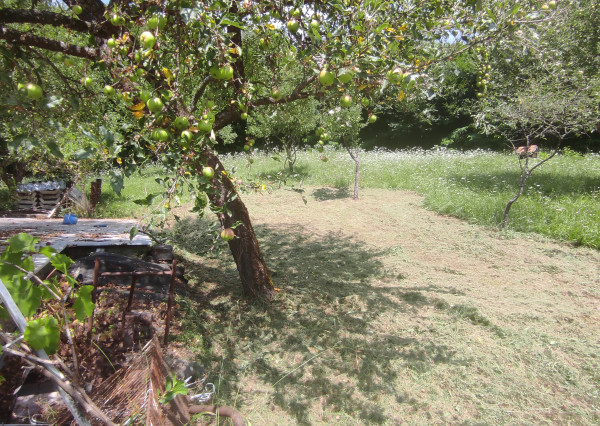 Slnečný pozemok v tichej lokalite pod lesom v lone prírody.
