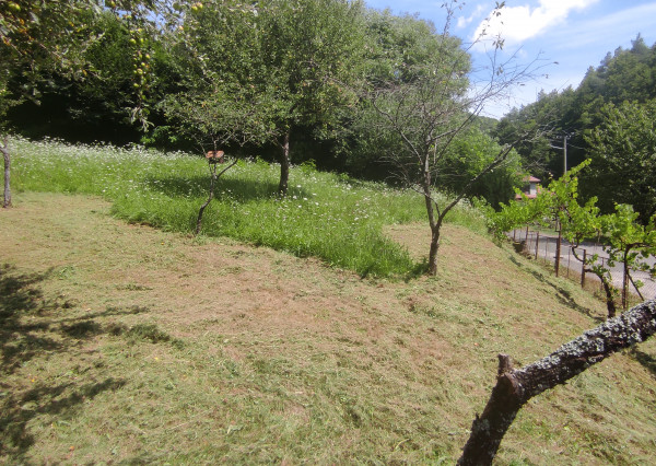 Slnečný pozemok v tichej lokalite pod lesom v lone prírody.