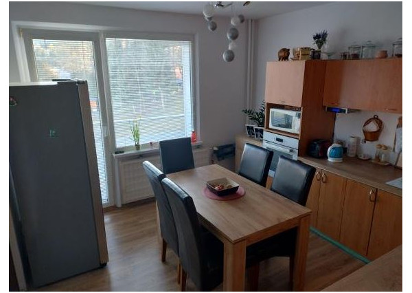 Veľký 2 izbový byt v Handlovej