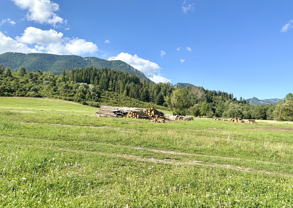 Pozemky na výstavbu rodinných domov - Liptovská Sielnica