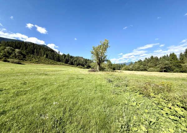 Pozemky na výstavbu rodinných domov - Liptovská Sielnica