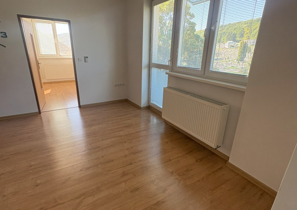 Zrekonštruovaný 3i byt v Novej Bani