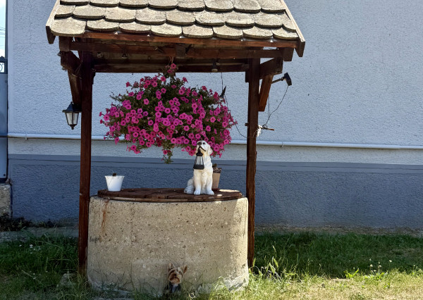 Veľký pozemok, nekonečné možnosti využitia - dom v Modranoch