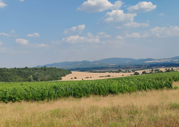 Veľký pozemok, nekonečné možnosti využitia - dom v Modranoch
