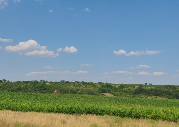 Veľký pozemok, nekonečné možnosti využitia - dom v Modranoch