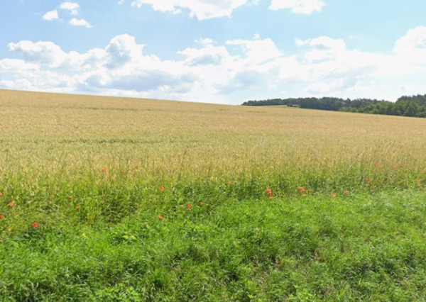 EXKLUZÍVNY INVESTIČNÝ POZEMOK S VÝMEROU 90 000 m²