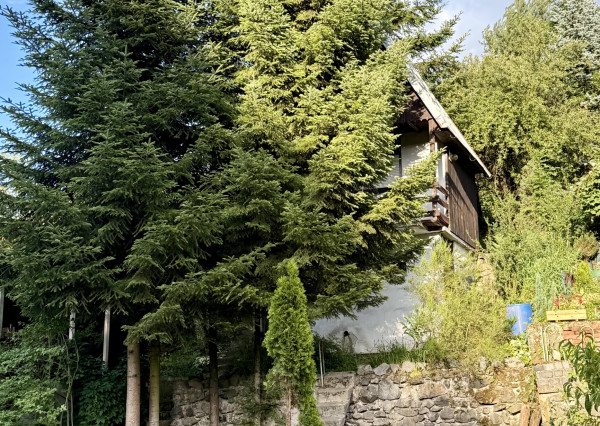 Útulná záhradná chatka s udržiavanou záhradou vo Zvolene