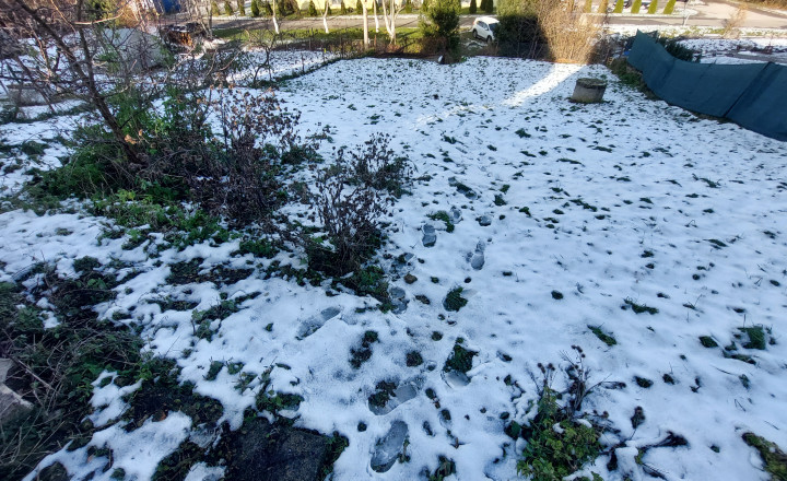 Pozemok s možnosťou výstavby - fotografia 8