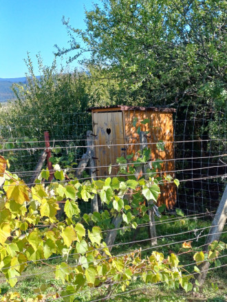 Biovinica s krásnym výhľadom v Pukanci - fotografia 3
