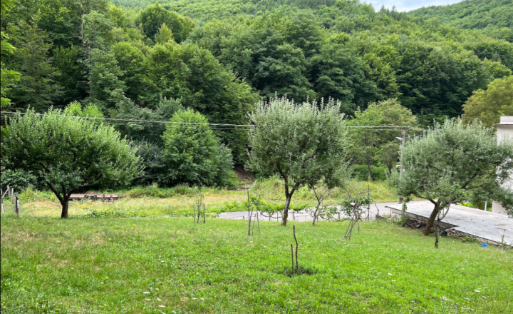Slnečný pozemok v tichej lokalite pod lesom v lone prírody. - fotografia 1