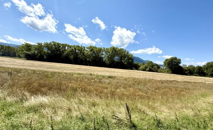 🌿 Stavebné pozemky v projekte Nižná Roveň – Podtureň - fotografia 1