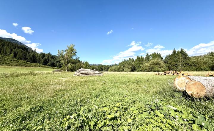 Pozemky na výstavbu rodinných domov - Liptovská Sielnica - fotografia 2