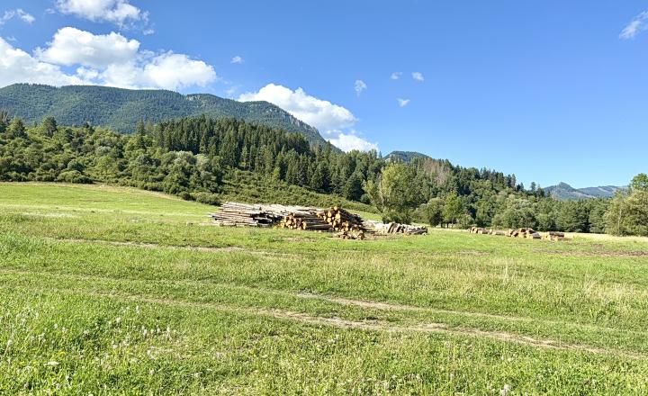 Pozemky na výstavbu rodinných domov - Liptovská Sielnica - fotografia 3