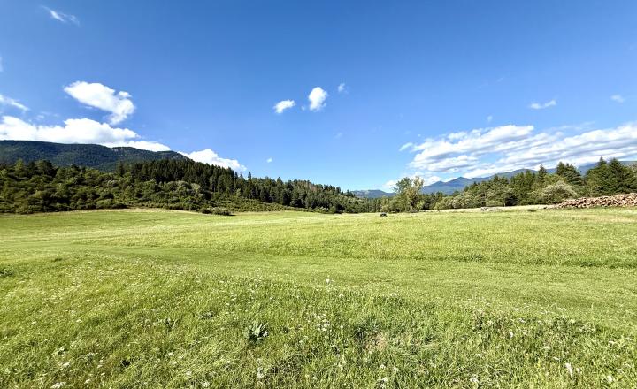 Pozemky na výstavbu rodinných domov - Liptovská Sielnica - fotografia 6