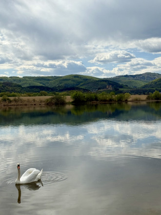 Rodinný dom Divín, Ružiná - pokoj, súkromie a voda na dosah - fotografia 13