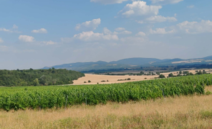 Veľký pozemok, nekonečné možnosti využitia - dom v Modranoch - fotografia 37