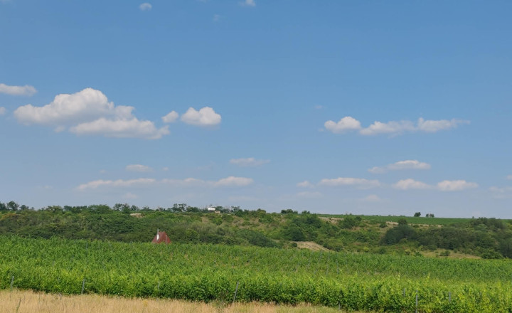 Veľký pozemok, nekonečné možnosti využitia - dom v Modranoch - fotografia 38