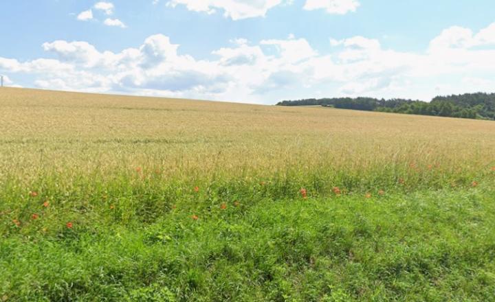 EXKLUZÍVNY INVESTIČNÝ POZEMOK S VÝMEROU 90 000 m² - fotografia 1