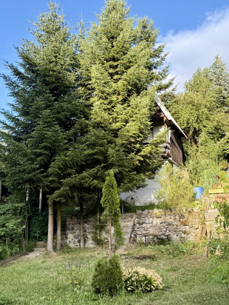 Útulná záhradná chatka s udržiavanou záhradou vo Zvolene - fotografia 16