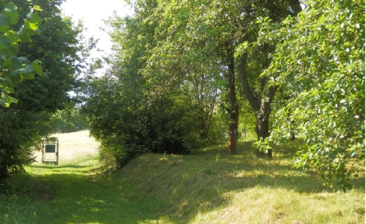 ZÁHRADA V BUKOVSKEJ STUDNI – OÁZA POKOJA BLÍZKO ZVOLENA - fotografia 7