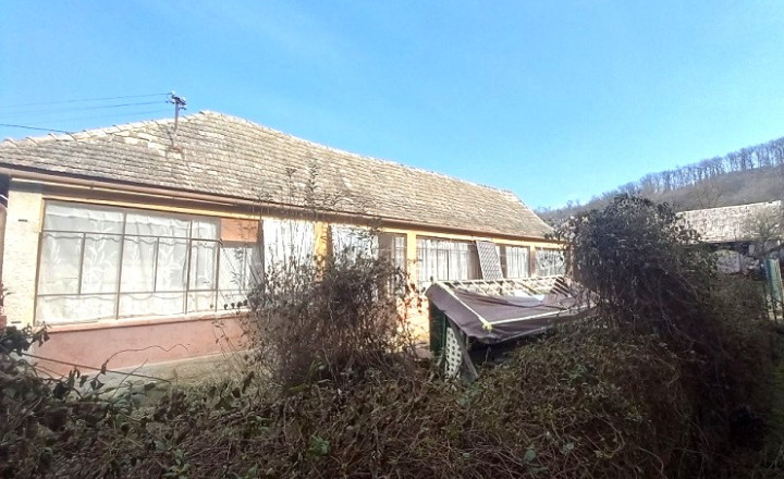 VIDIECKY DOM V MEDOVARCIACH S POZEMKOM 1 950 m² - fotografia 12