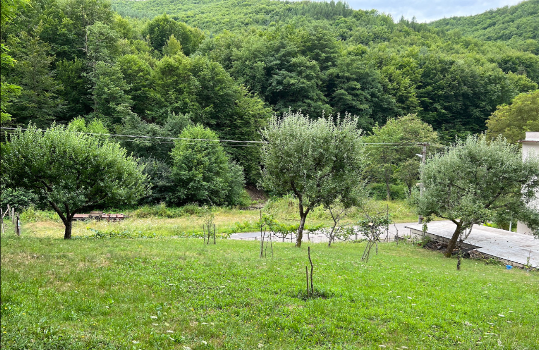 Slnečný pozemok v tichej lokalite pod lesom v lone prírody.