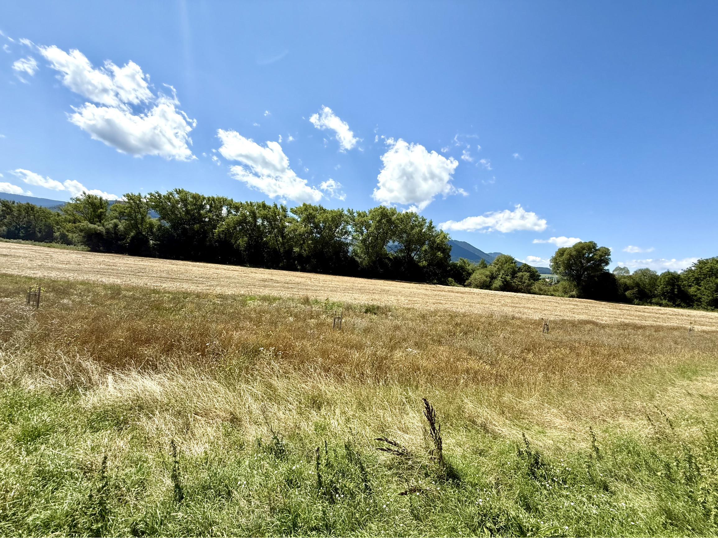 🌿 Stavebné pozemky v projekte Nižná Roveň – Podtureň